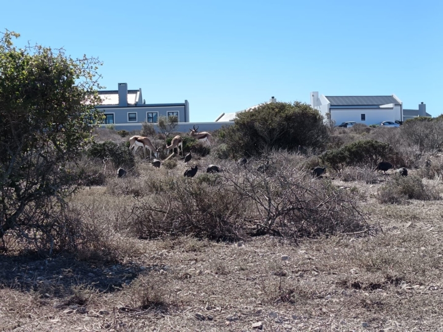 Commercial Property for Sale in Hoogland Western Cape